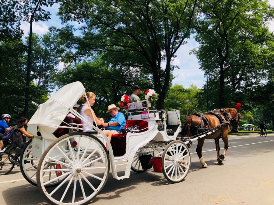 IMG_0066.jpg?type=w966