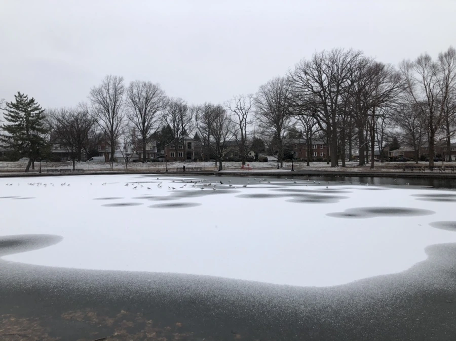 IMG_6164.jpg?type=w966