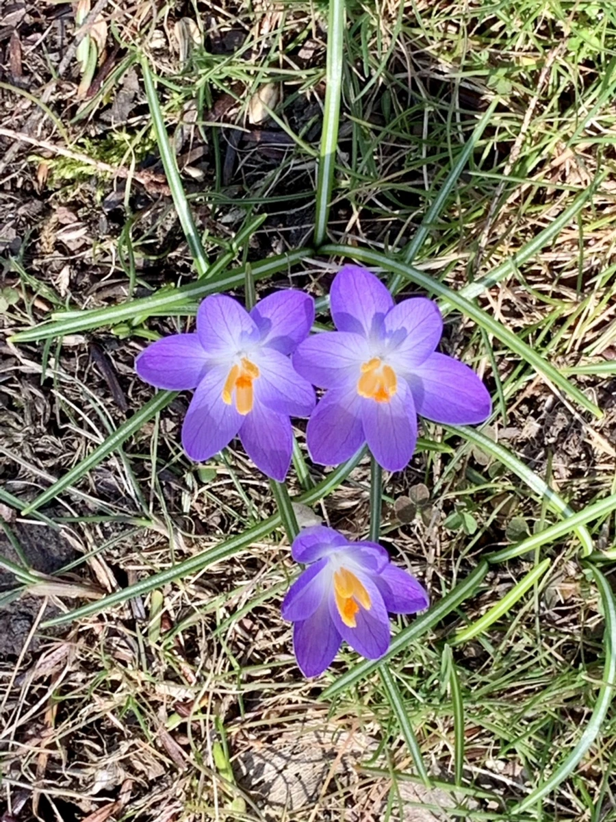 IMG_9209.jpg?type=w966