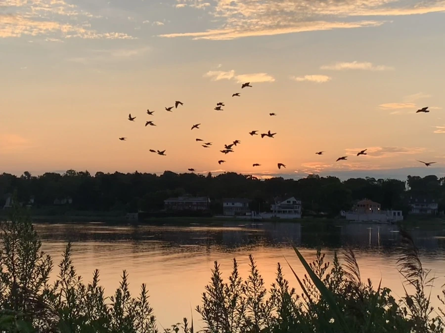 IMG_1238.jpg?type=w966