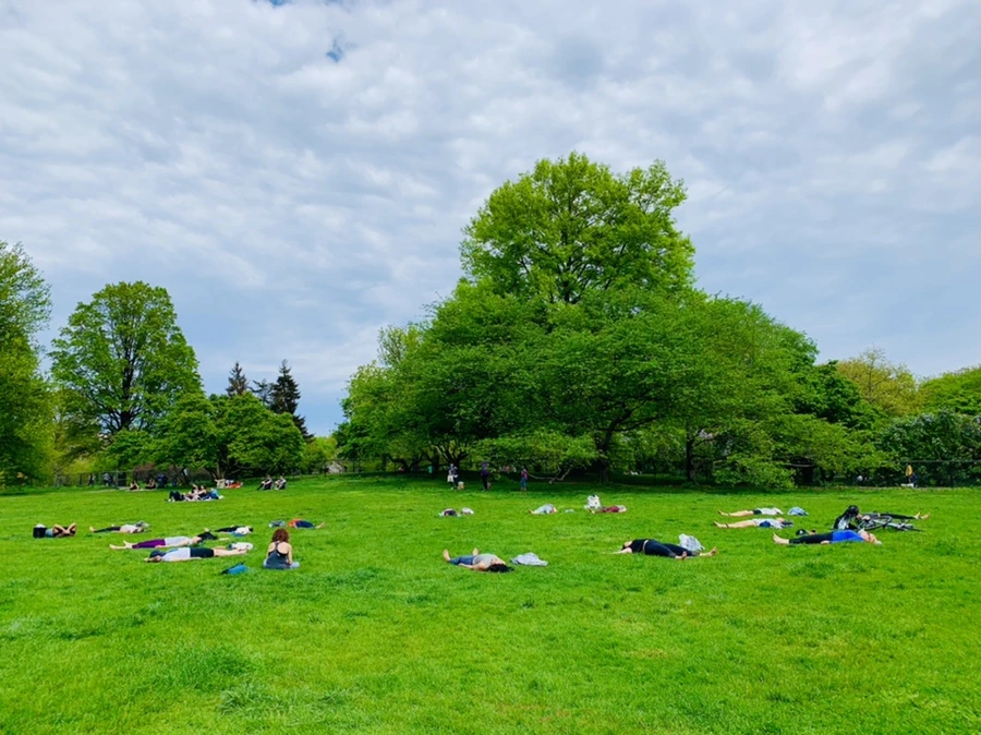 IMG_8791.jpg?type=w966