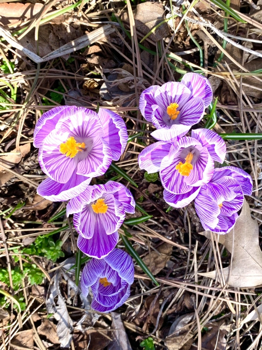 IMG_2971.jpg?type=w966