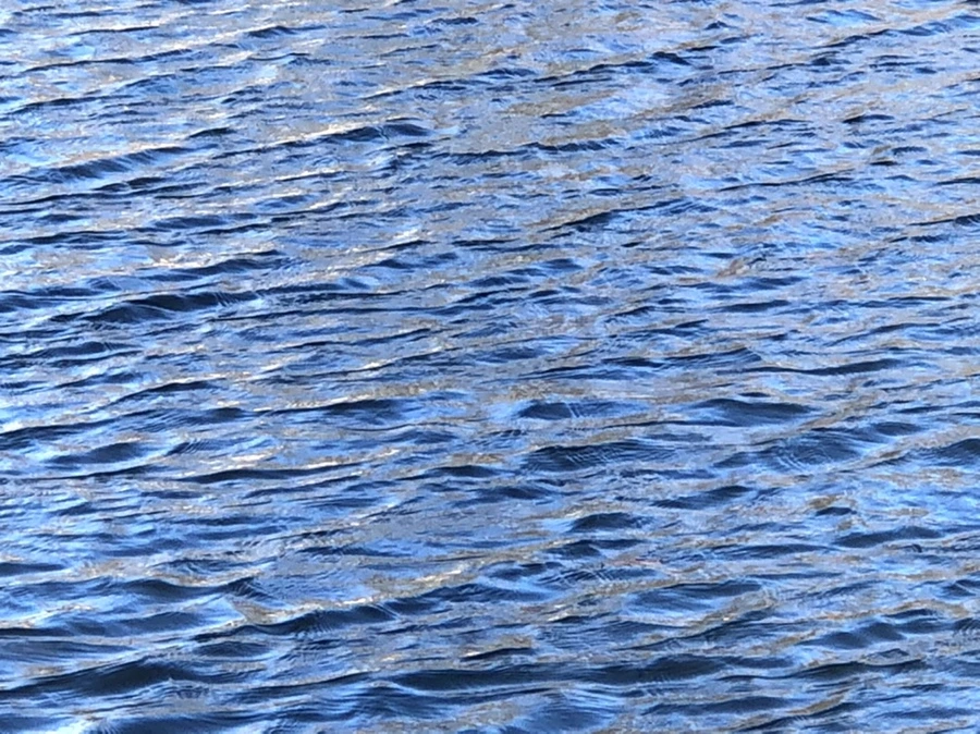 IMG_3846.jpg?type=w966