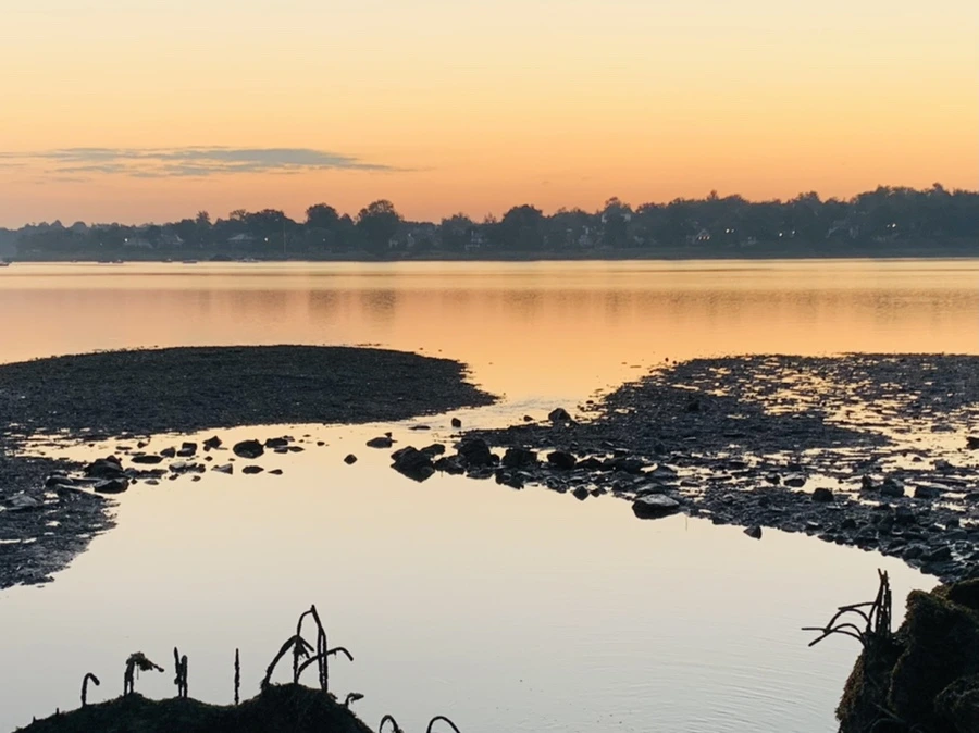 IMG_7086.jpg?type=w966