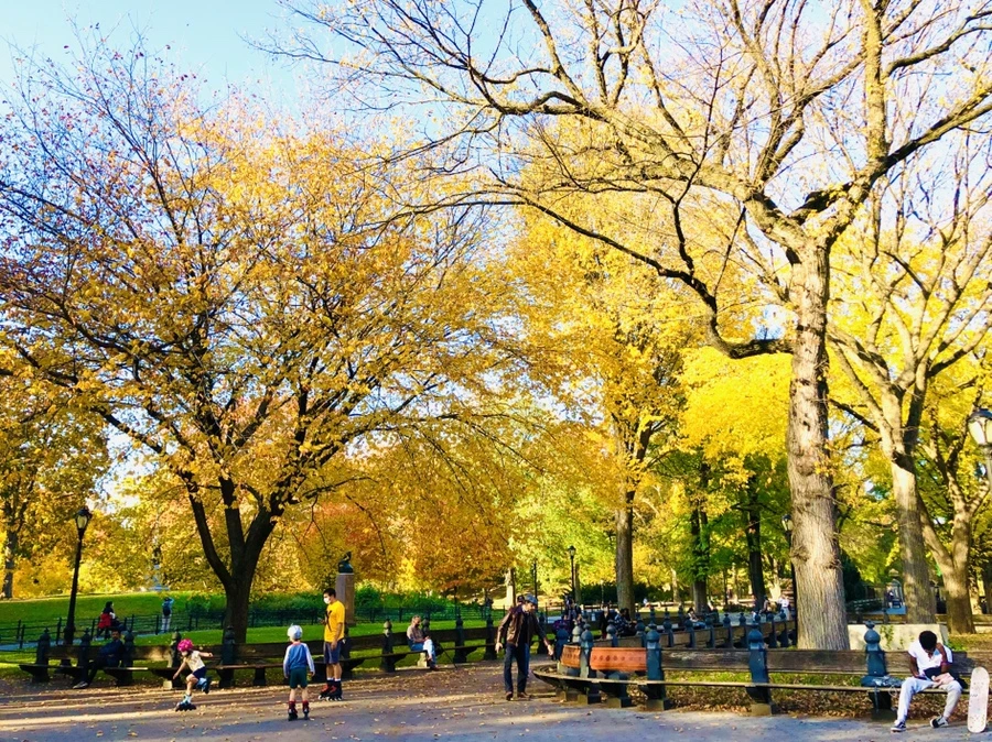 IMG_3503.jpg?type=w966