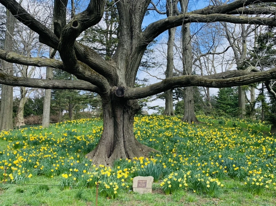 IMG_6545.jpg?type=w966