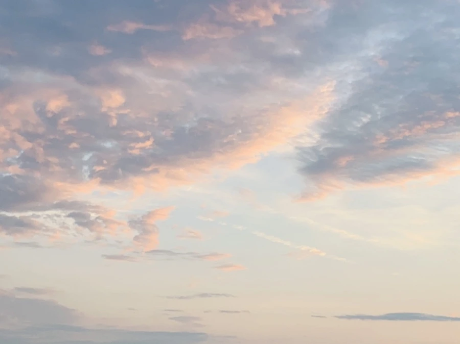 IMG_1191.jpg?type=w966