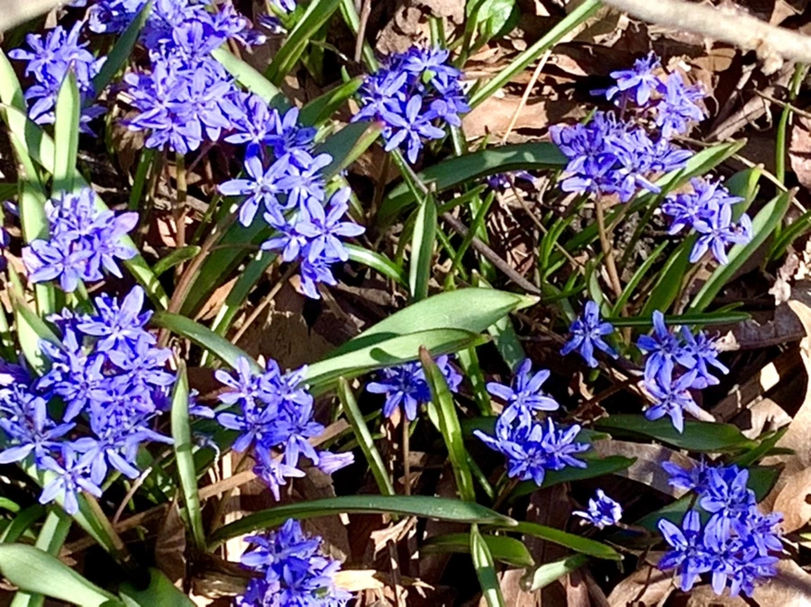 IMG_5628.jpg?type=w966