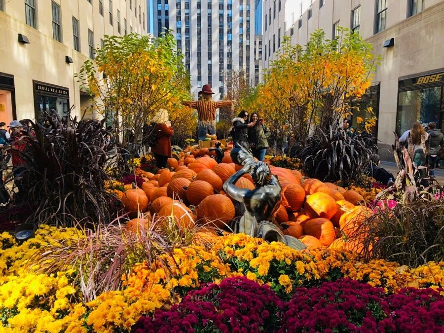 IMG_7180.jpg?type=w966