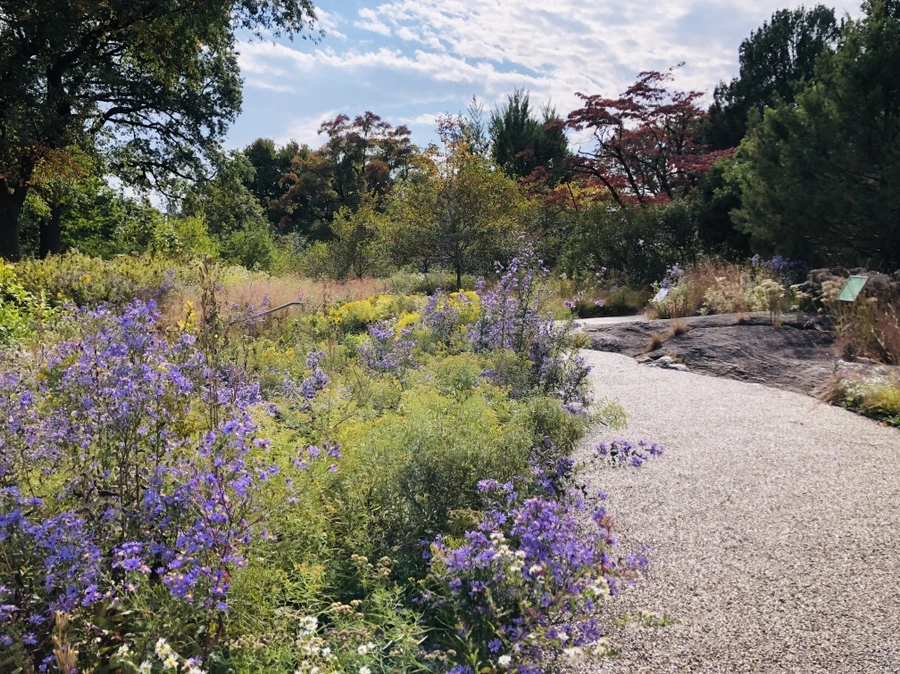 IMG_1595.jpg?type=w966