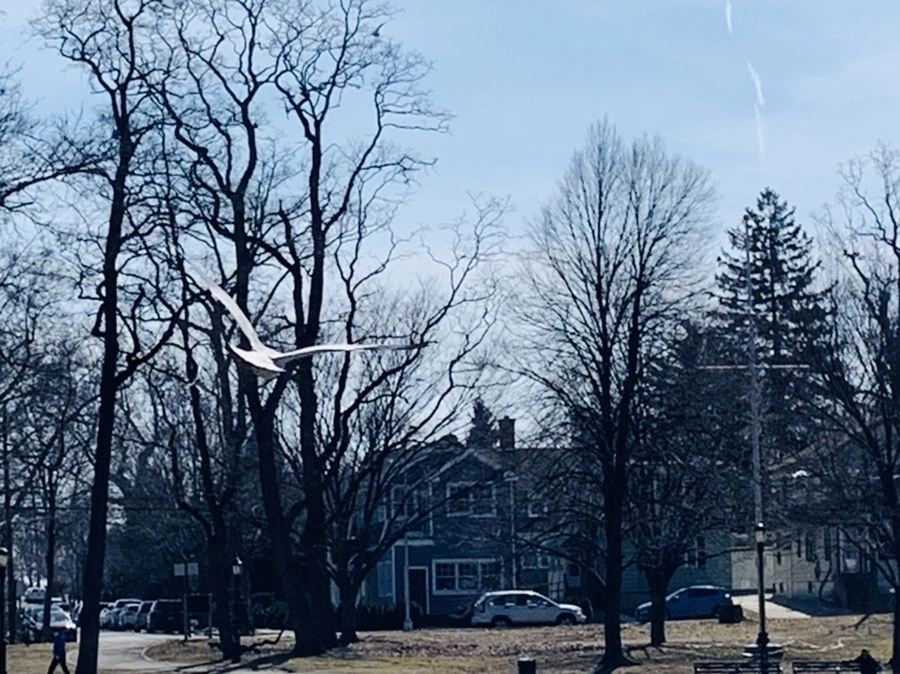 IMG_9451.jpg?type=w966