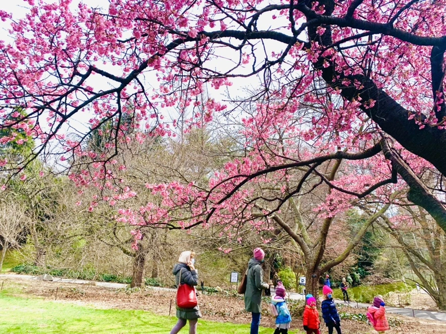 IMG_6427.jpg?type=w966