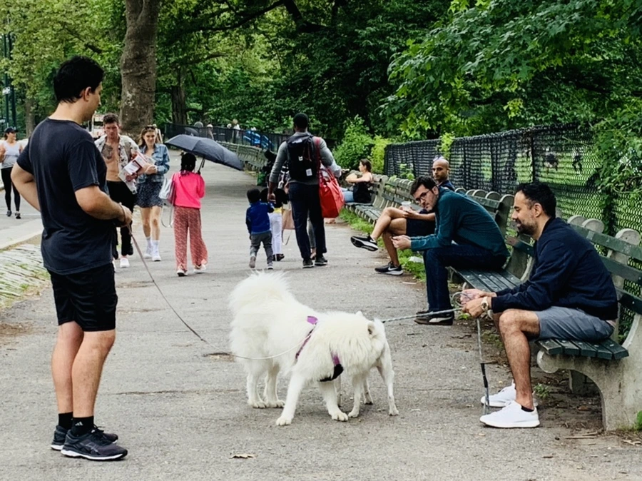 IMG_3310.jpg?type=w966