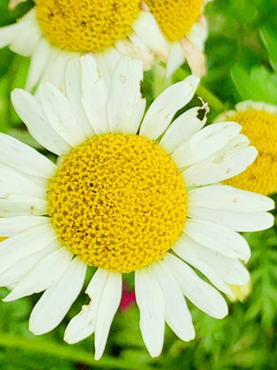 IMG_9457.jpg?type=w966