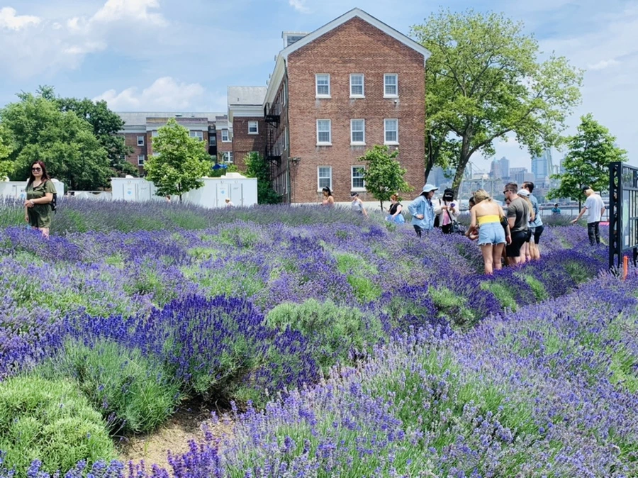 IMG_5085.jpg?type=w966