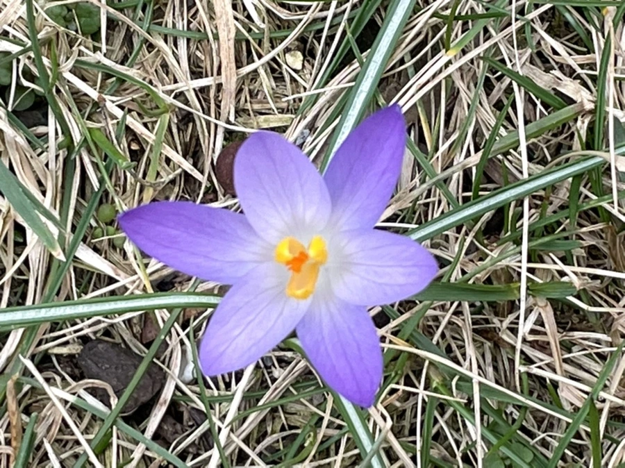 IMG_4081.jpg?type=w966