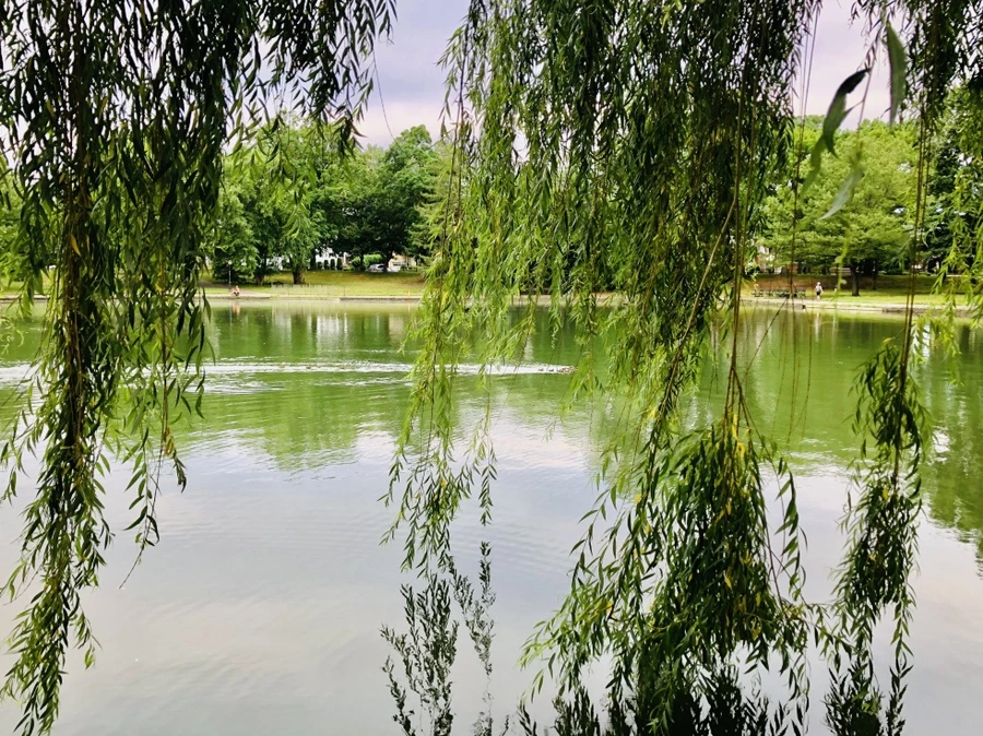 IMG_0834.jpg?type=w966