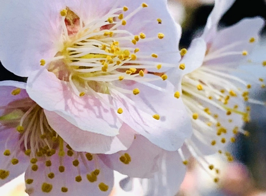 IMG_1028.jpg?type=w966