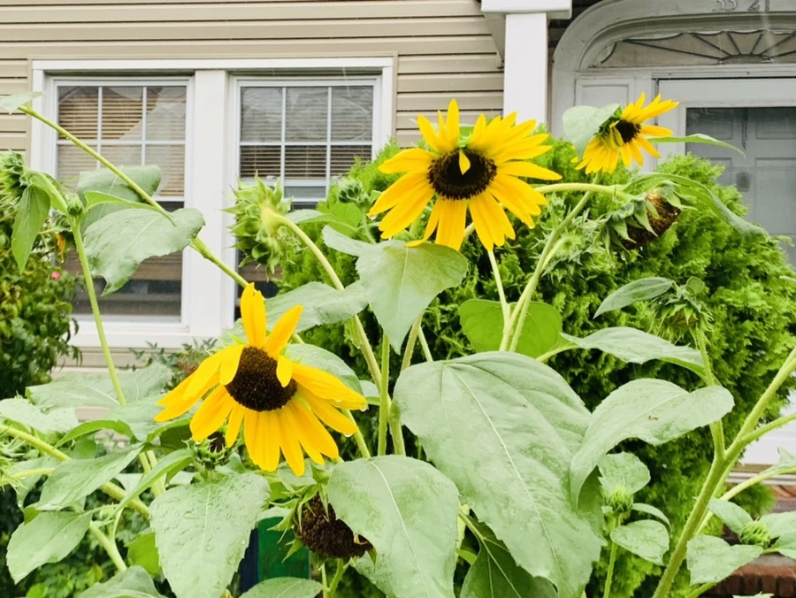 IMG_3814.jpg?type=w966