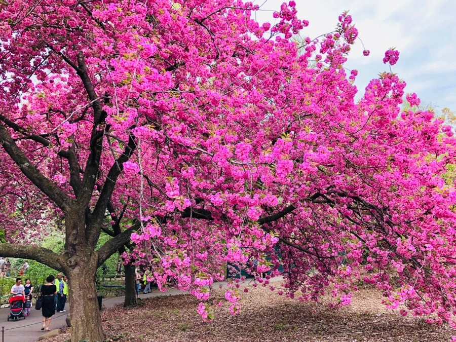 IMG_5462.jpg?type=w966