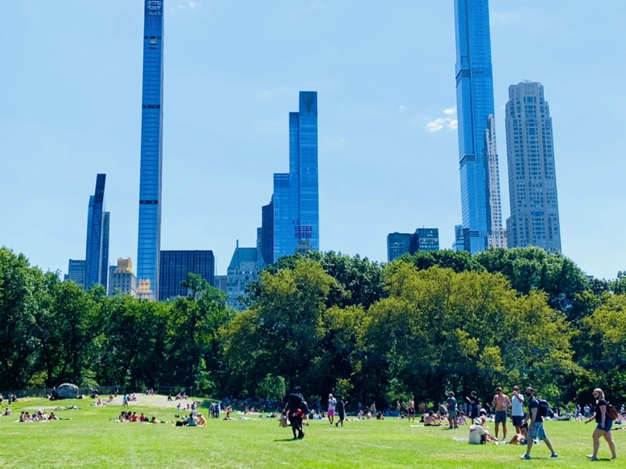 IMG_4377.jpg?type=w966