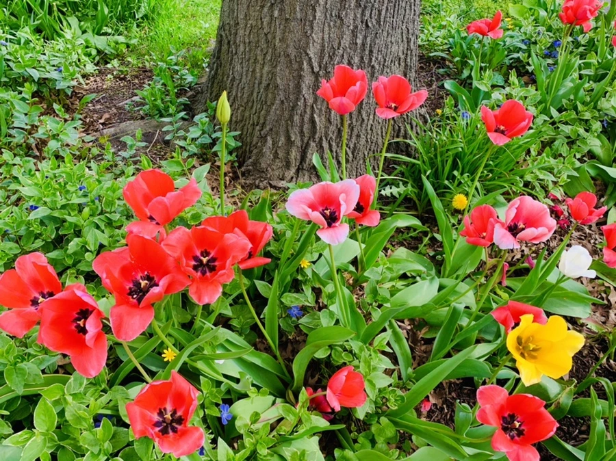 IMG_6954.jpg?type=w966