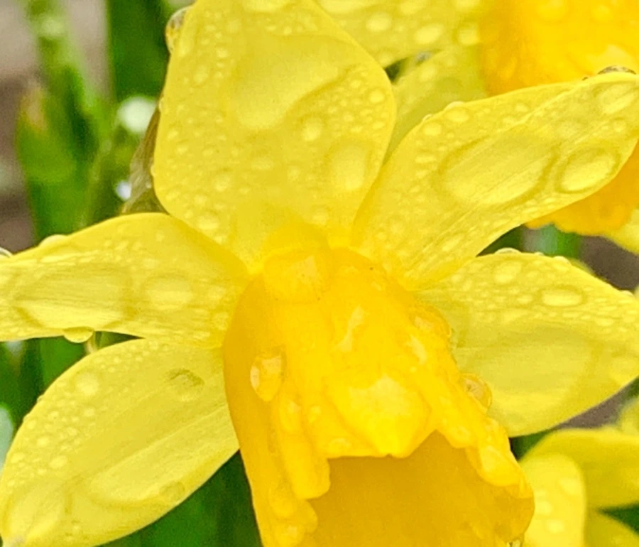 IMG_3723.jpg?type=w966