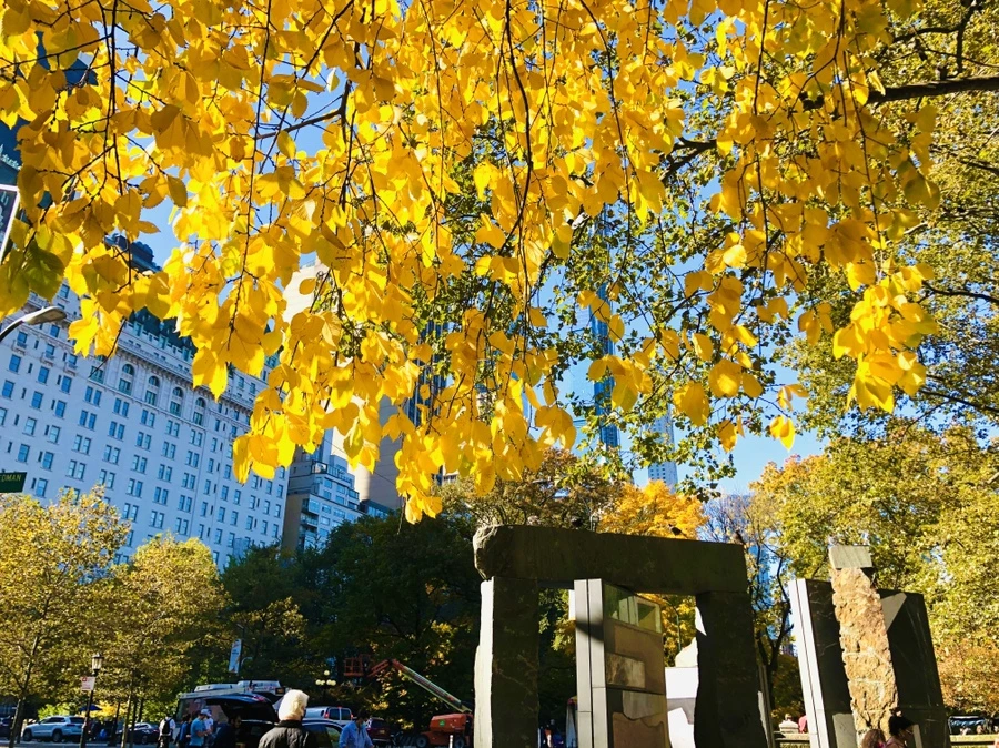 IMG_3742.jpg?type=w966