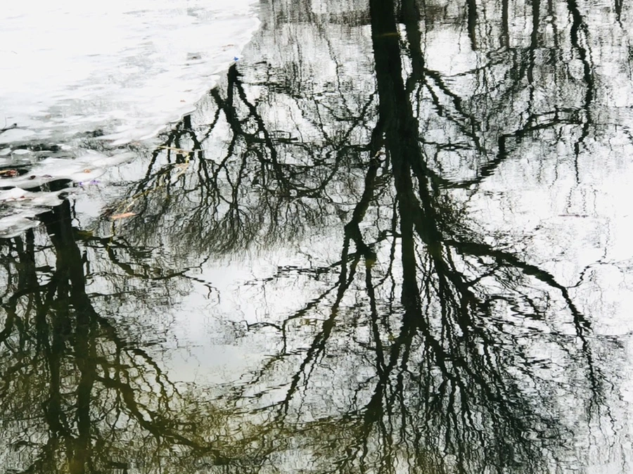 IMG_6495.jpg?type=w966