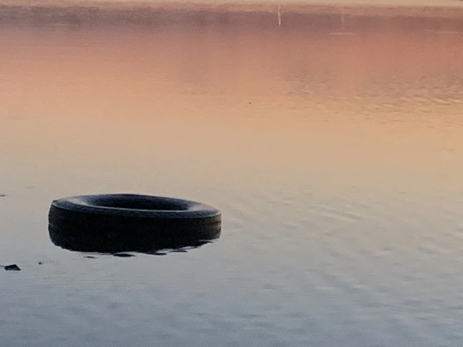 IMG_7036.jpg?type=w966