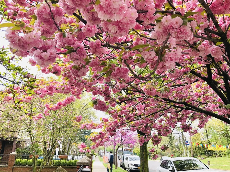 IMG_3948.jpg?type=w966