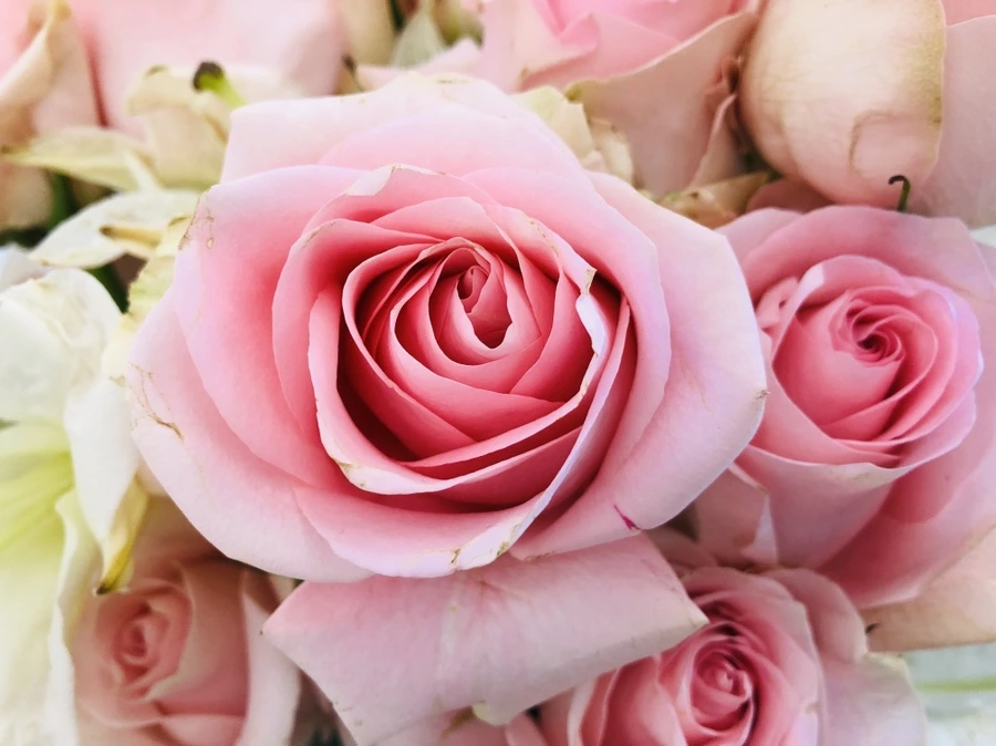 IMG_9461.jpg?type=w966