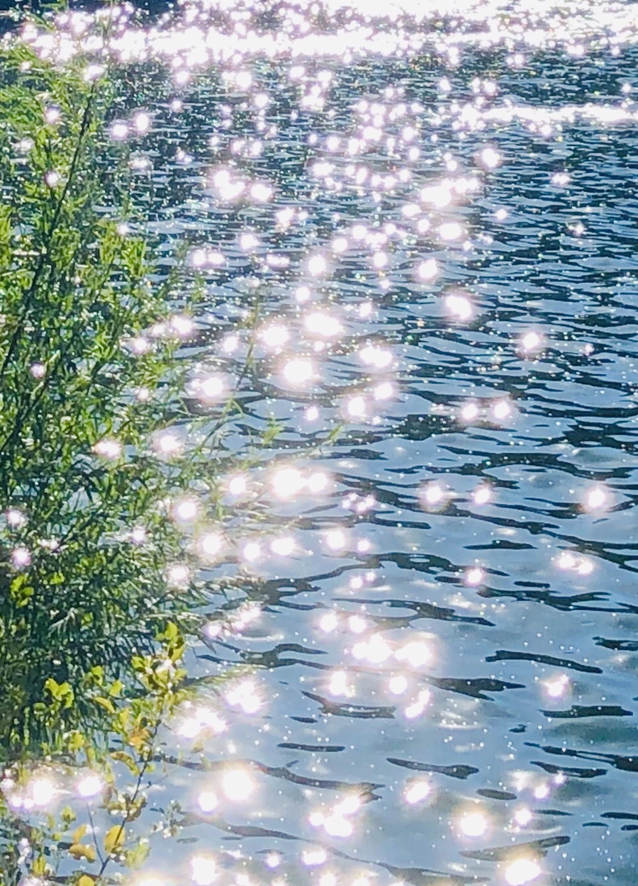 IMG_1704.jpg?type=w966