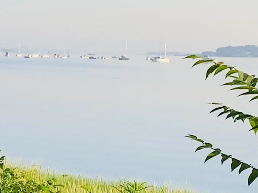 IMG_7425.jpg?type=w966