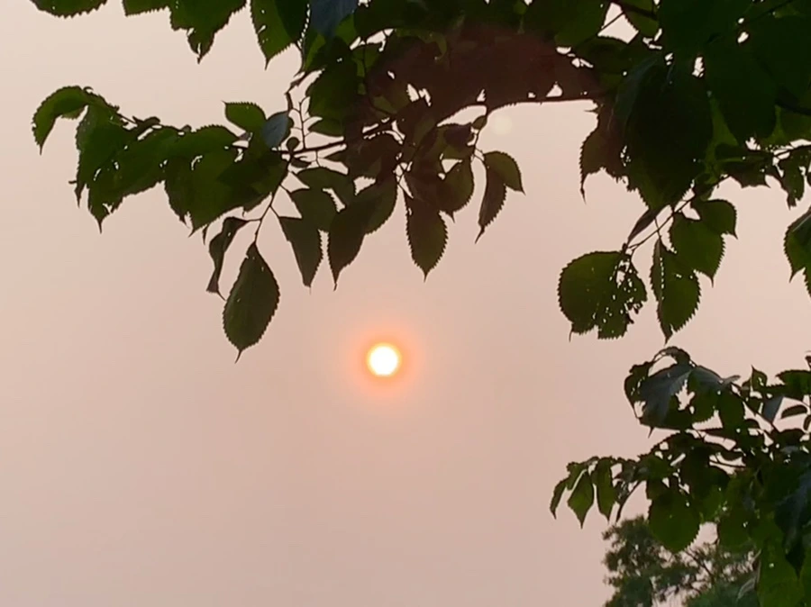 IMG_8245.jpg?type=w966