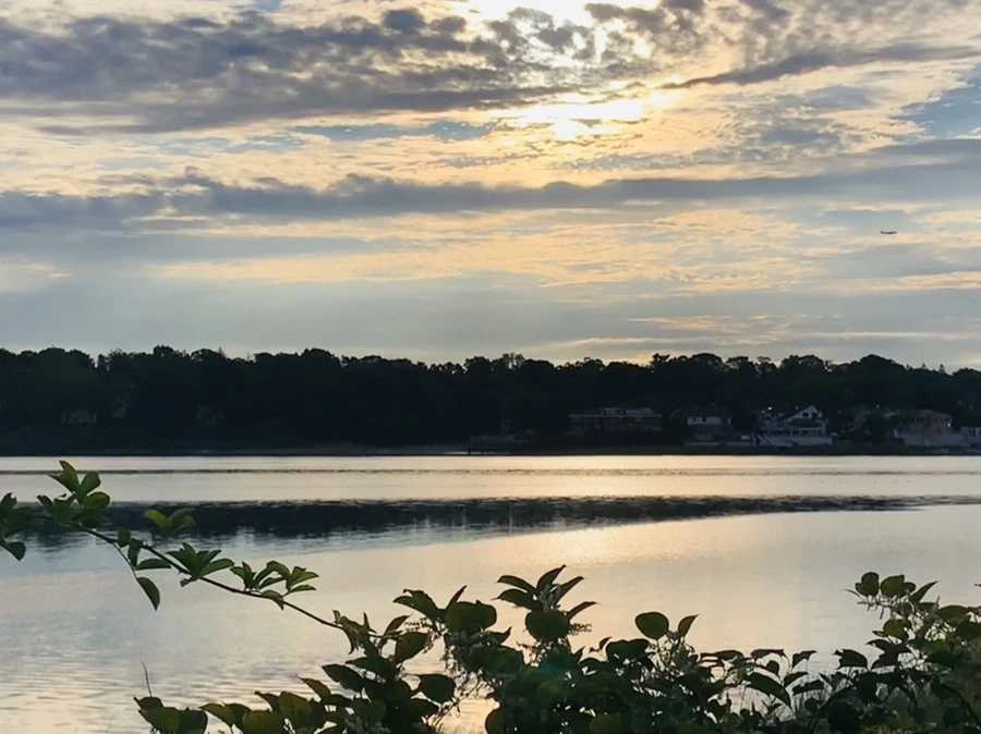 IMG_7750.jpg?type=w966