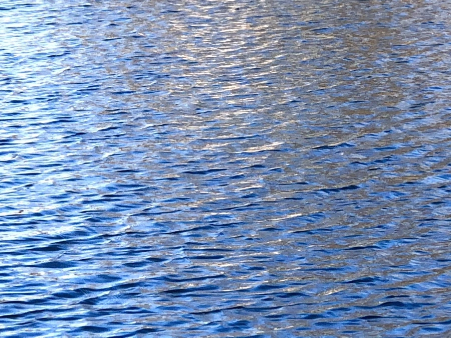 IMG_3845.jpg?type=w966