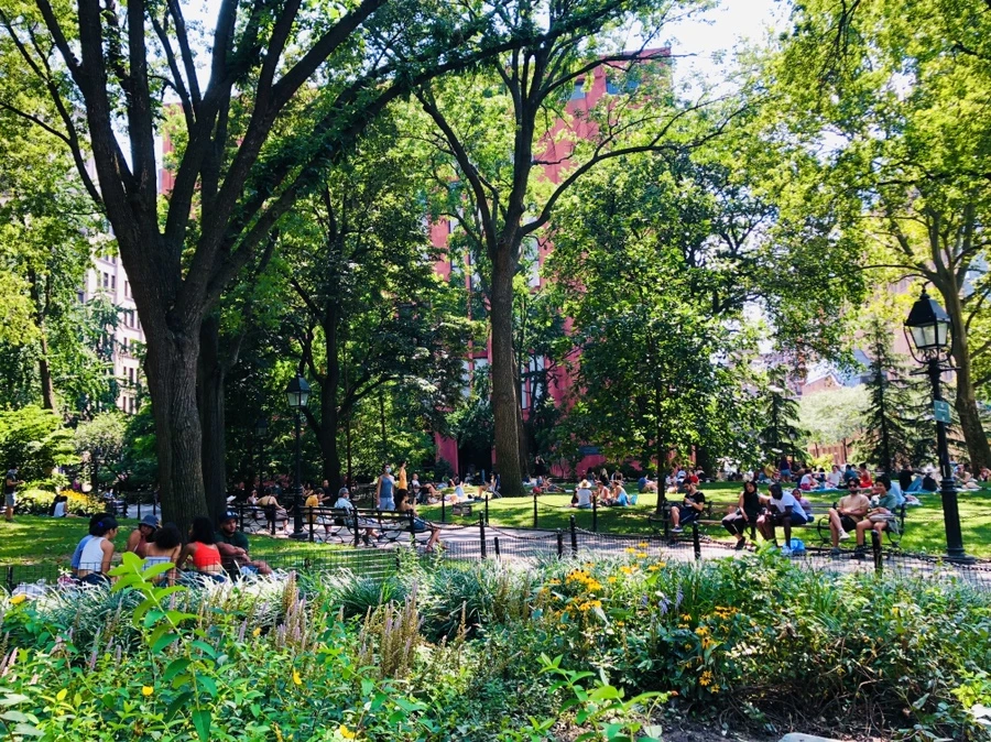 IMG_6361.jpg?type=w966