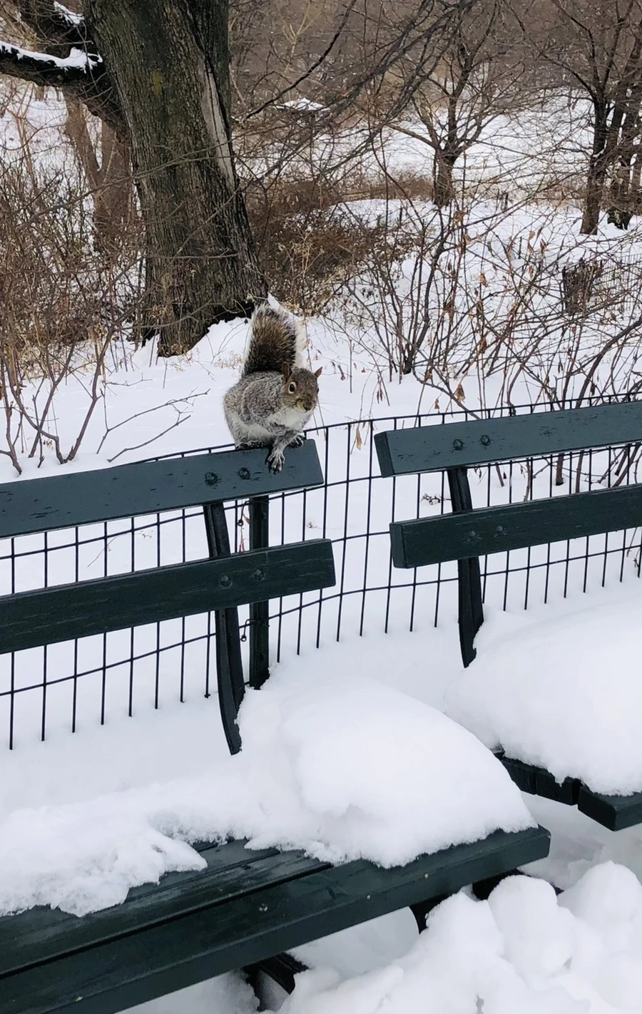 IMG_9509.jpg?type=w966