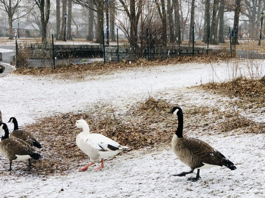 IMG_5955.jpg?type=w966