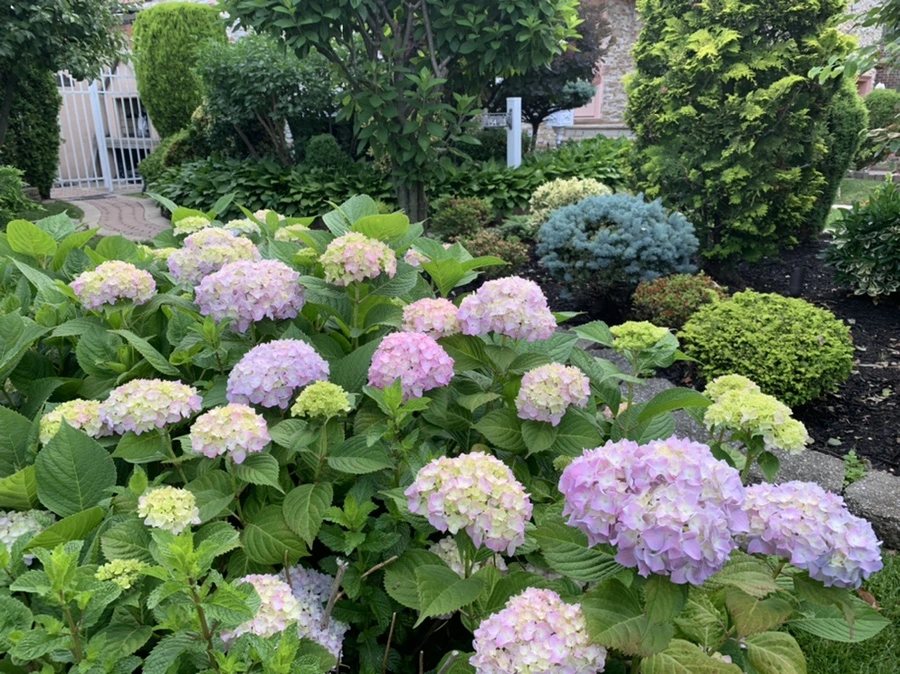 IMG_2662.jpg?type=w966