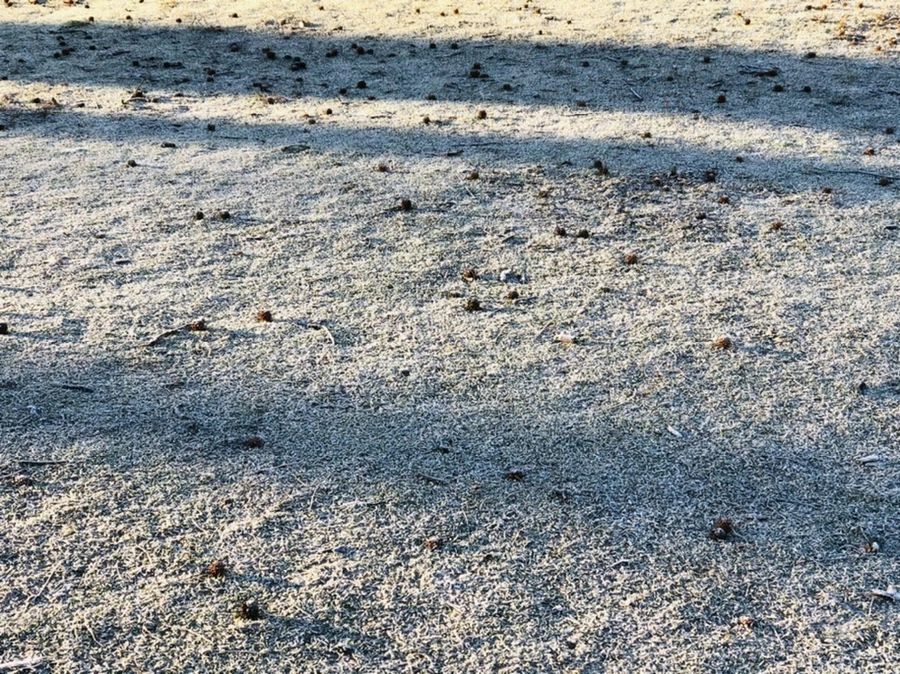 IMG_2220.jpg?type=w966