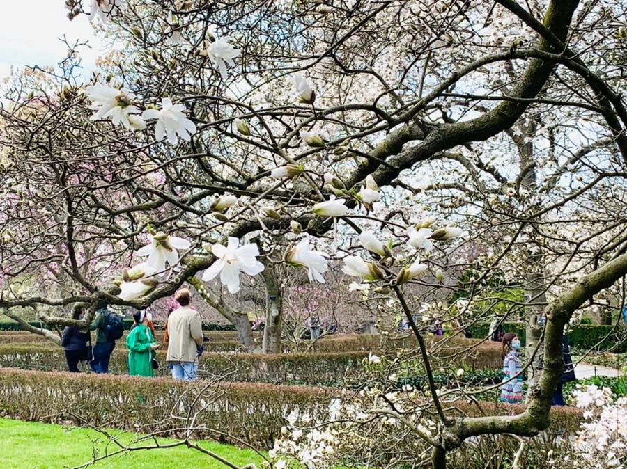 IMG_7151.jpg?type=w966