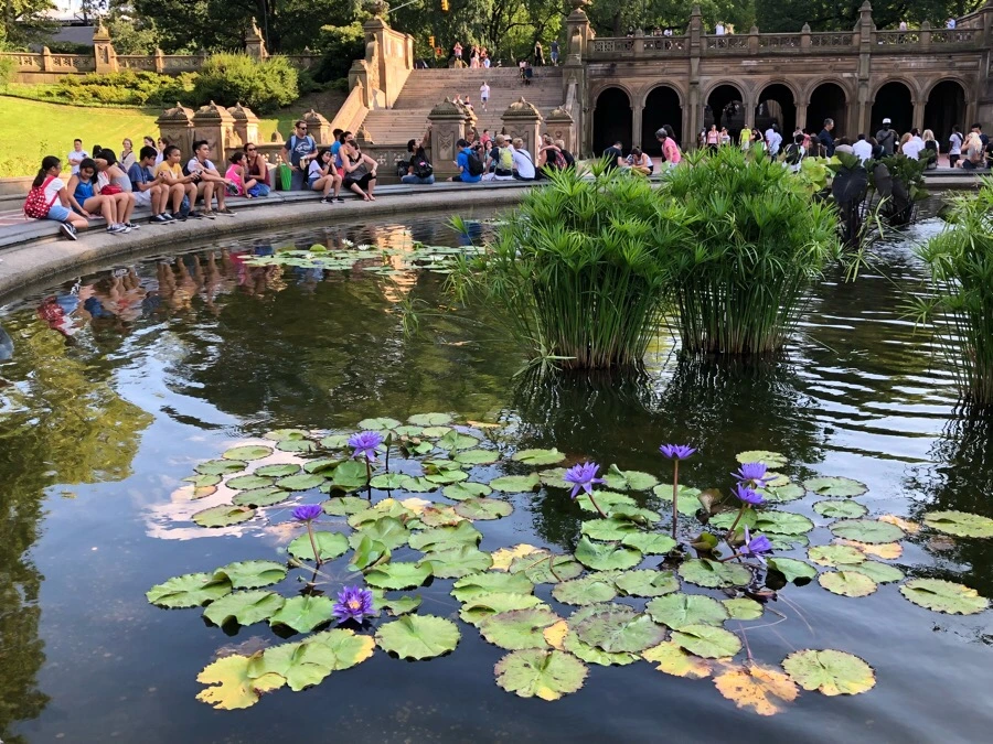 IMG_1081.jpg?type=w966