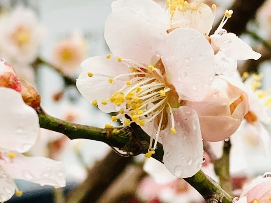 IMG_1856.jpg?type=w966