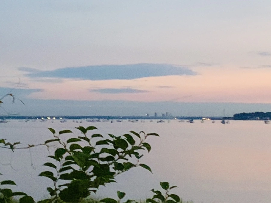 IMG_0850.jpg?type=w966