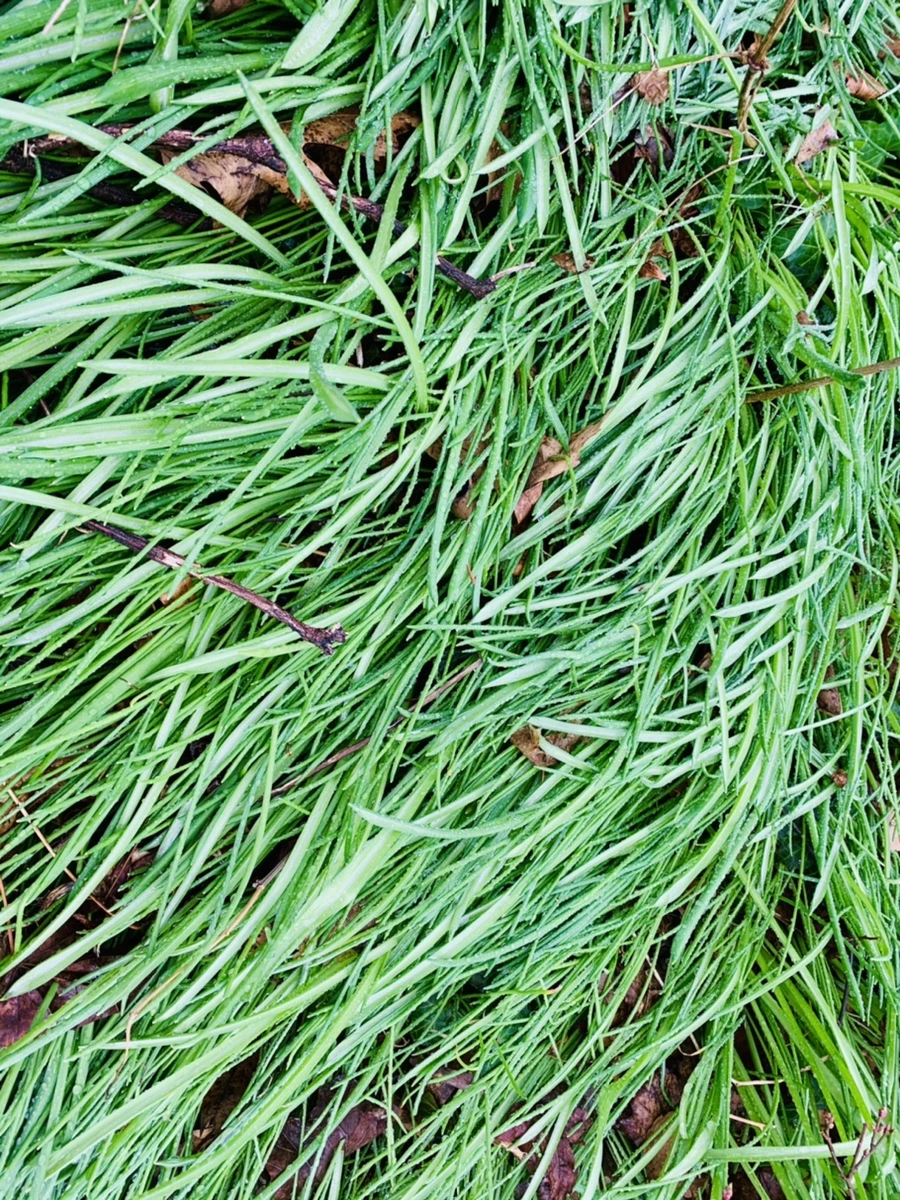 IMG_5342.jpg?type=w966