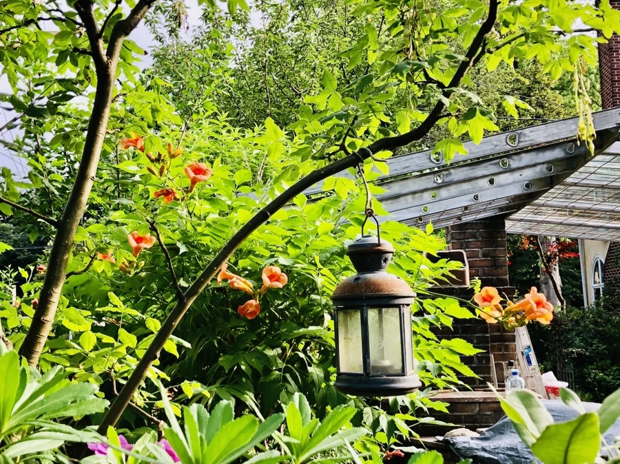 IMG_1373.jpg?type=w966