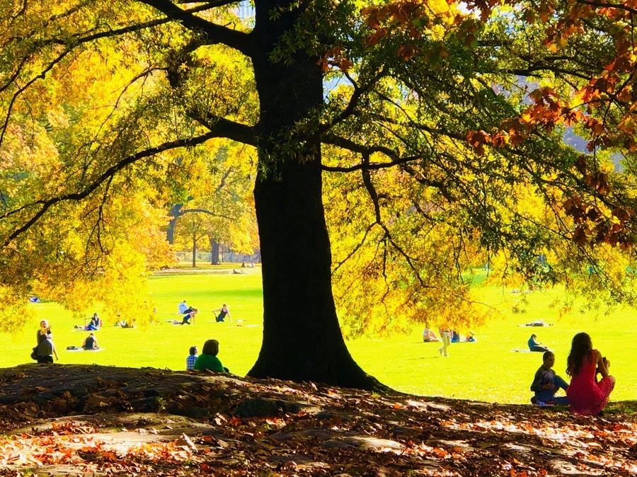 IMG_4340.jpg?type=w966