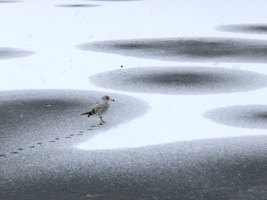 j0aaD-3HKpQQvv_3200P5rdFBxk